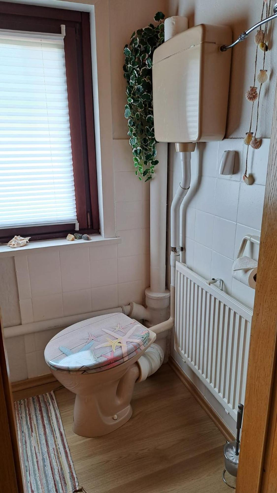 Ferienwohnung Friedrichsruh 브라운라제 외부 사진