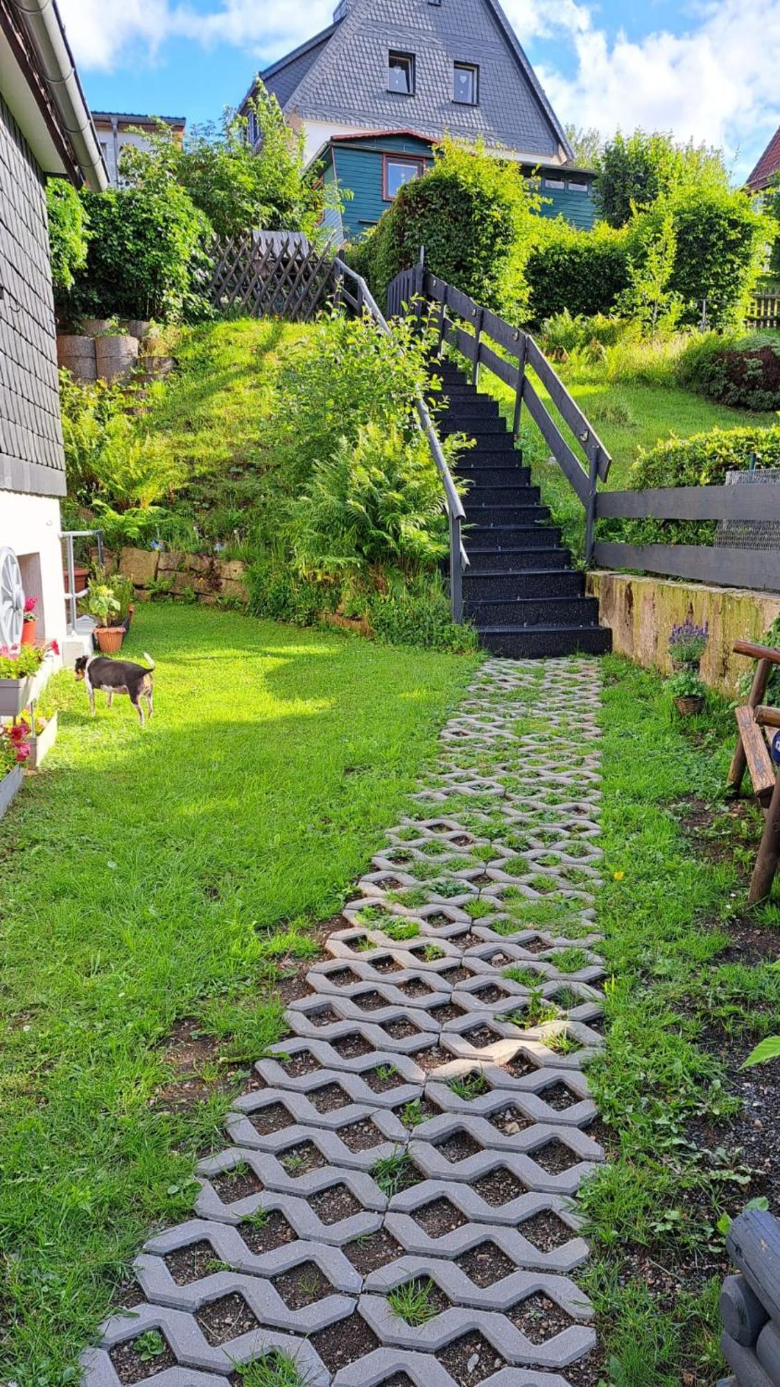 Ferienwohnung Friedrichsruh 브라운라제 외부 사진