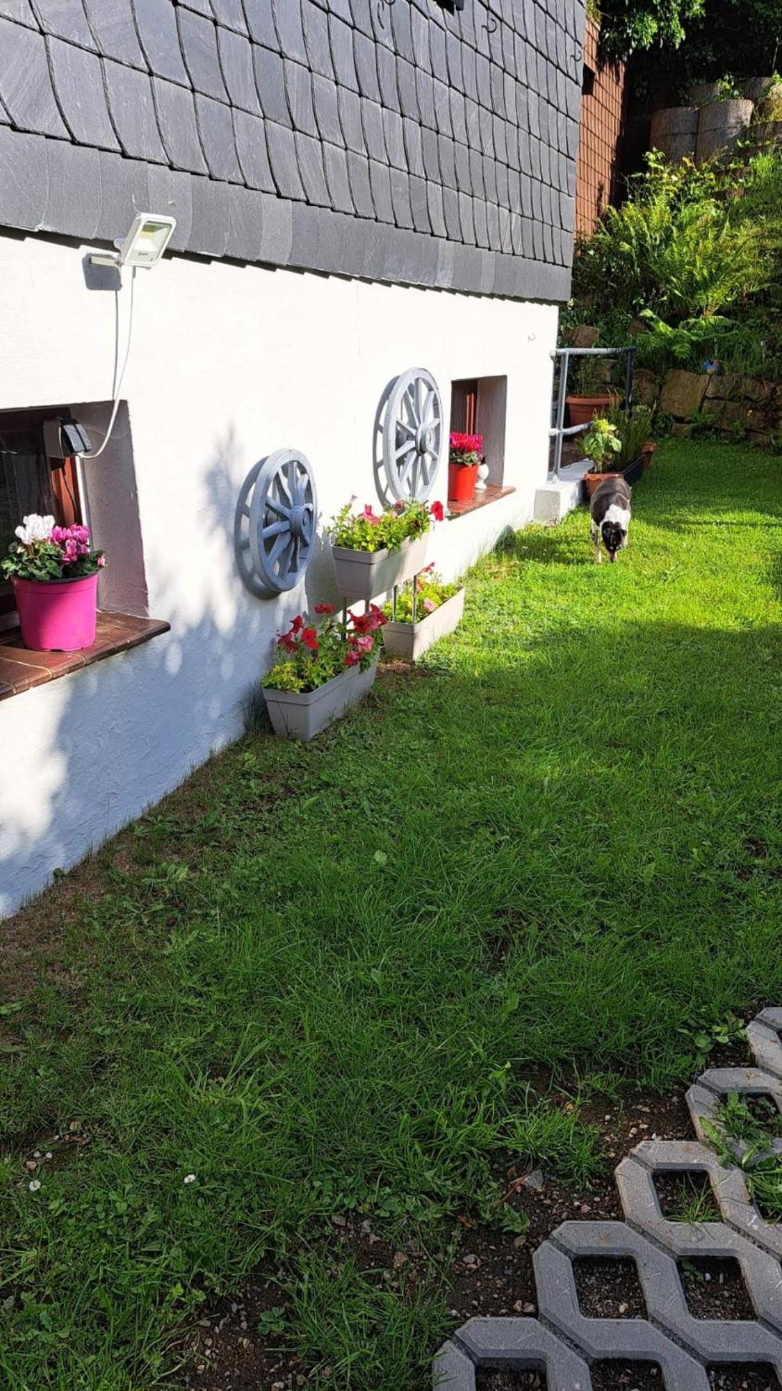 Ferienwohnung Friedrichsruh 브라운라제 외부 사진